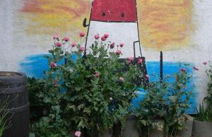 Wikingerstadt 1 - Foto 3