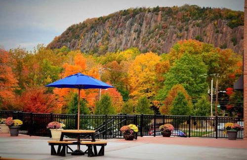 Landing Stunning 2BD Gym - Foto 21