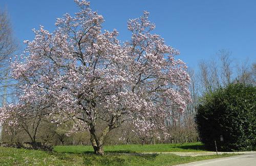 Villa Montello Pool, Jacuzzi, Ac, Wifi, Treviso - Foto 20