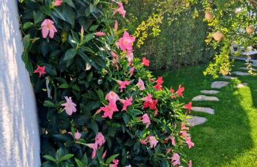 LUXURY VILLA ŠENTADA - Photo 16