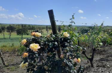 Monte da Casa Branca by Hi Alentejo - Foto 58