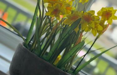 Cosy Seaside Cottage - Foto 7