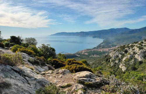 Purple Flower Suite Apartment - Foto 31