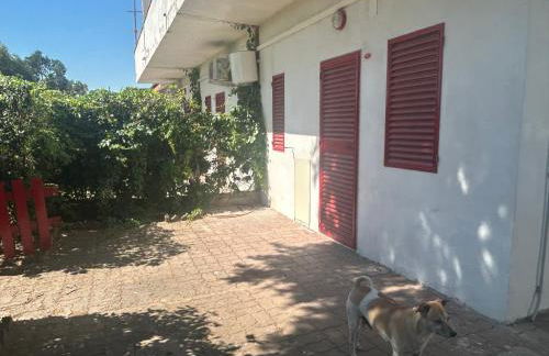 Case Vacanze a Rossano - Foto 6