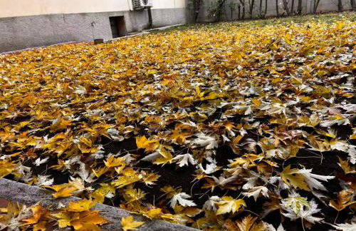 Vivi Milano B - Elegant & Bright 5-Bedroom Flexible Apartment Near Fair with Free Parking - Foto 33