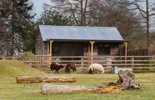Beech Tree Cabin - Foto 19