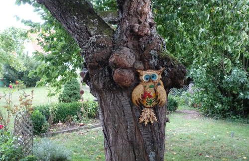 Ferienwohnung-M8 im schönen Werratal - Foto 8