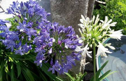 Ferienwohnung Tretter - Foto 23