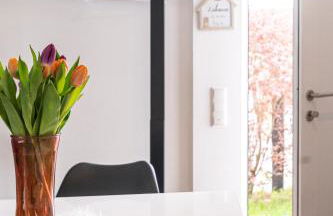 Skandi Streudorf - Foto 11