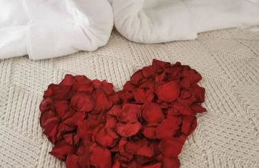 La petite maison dans les nuages - Foto 12