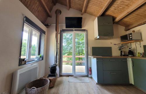 Petite maison vue sur Lac de la Triouzoune Neuvic - Foto 4