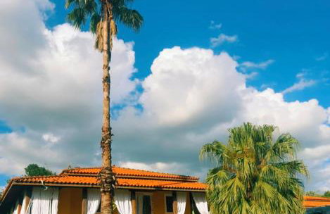 Casa Amarela Ecoloft Brasil 88 - Foto 66