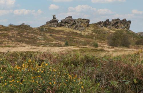 Stoney Cliffe Farm - Photo 42