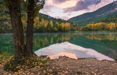 Alojamiento Rural Casa Inocente - Foto 49
