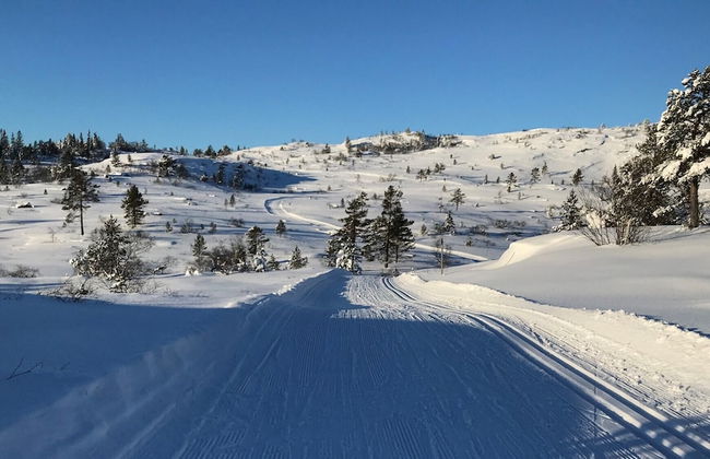 Ski Lodge & Apartments Gautefall - Foto 75