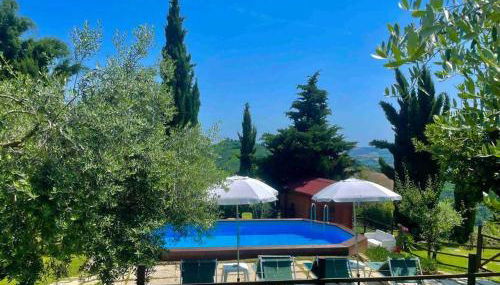 Tenuta Sant'Apollinare - Foto 5