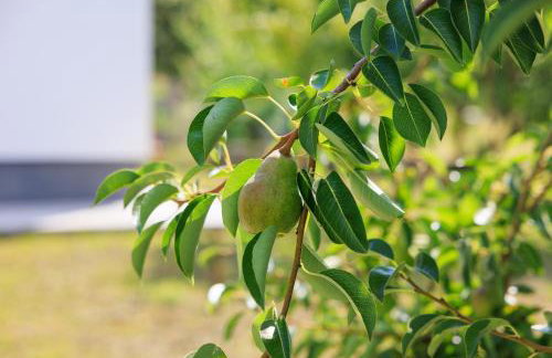 Country side Villa Mila - Photo 40