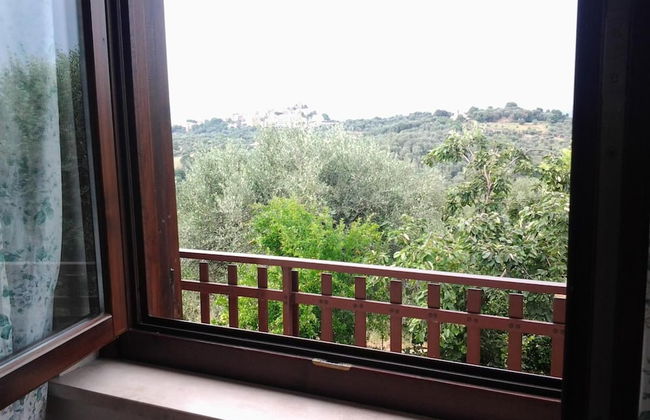 Agriturismo Norianino - Photo 11