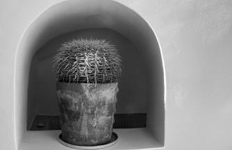 Villa Orpheus Santorini - Foto 19