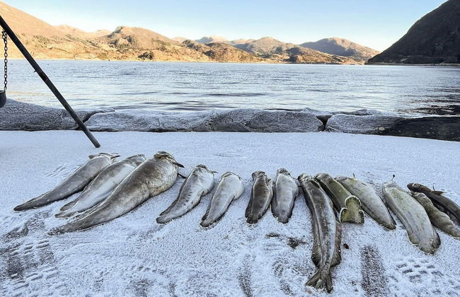 12 Person Holiday Home in Davik - Foto 62