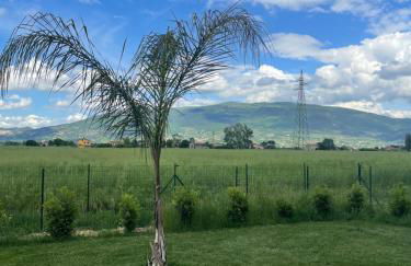 PalmHouse Cristian - Foto 22