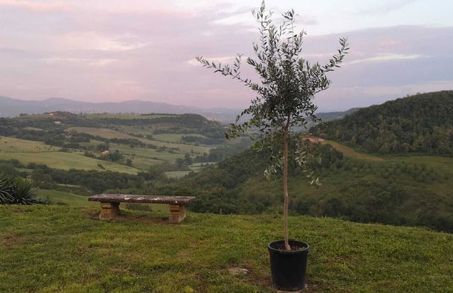 Torre Del Melograno With Heated Pool - Foto 50