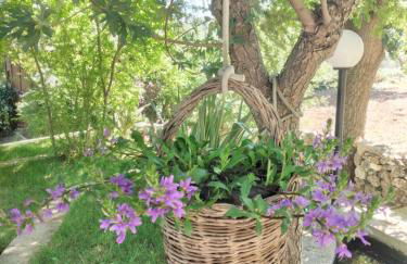 Il trullo felice - Foto 7