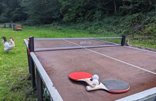 Riverside cottage walking distance into Caernarfon - Photo 24