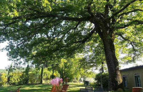 Agriturismo La Scarpaia - Foto 20