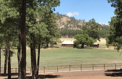 Grand Canyon 1bd Loft at Historic Wrigley Ranch-Suite with Horseback Riding, Hiking - Foto 11