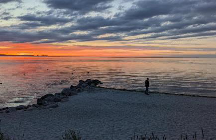 Fewo 13 Haus Neustein - Photo 18