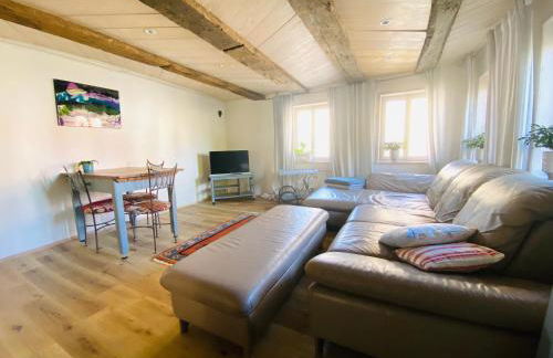 Ganze Wohnung - Erdgeschoss - sehr ruhig - Hundefreundlich - Regendusche - Bodenheizung - Küche - easy Check-in mit Schlüsselbox - Foto 16