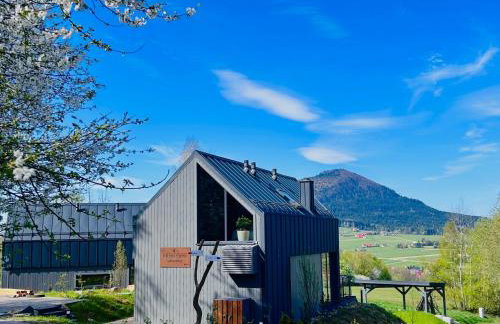 U Boku Stoku - Domki w Kasinie - Foto 1