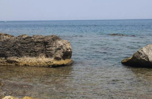 Alla Corte di Dionisio - Foto 53