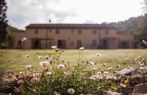 mulino della rivolta - Foto 44