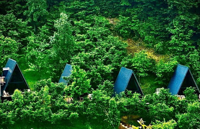 GreenWood Merisi - Foto 42