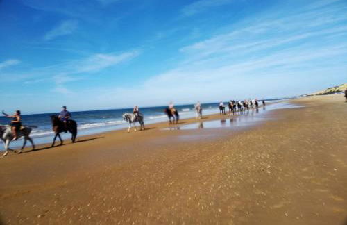 Brisa Marina Apartamento a pie de playa en Mazagón - Foto 15