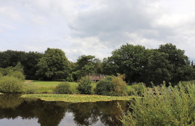 Villa in Ommen With Private Pond - Foto 36