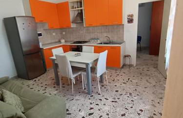 La casa delle farfalle - Foto 16