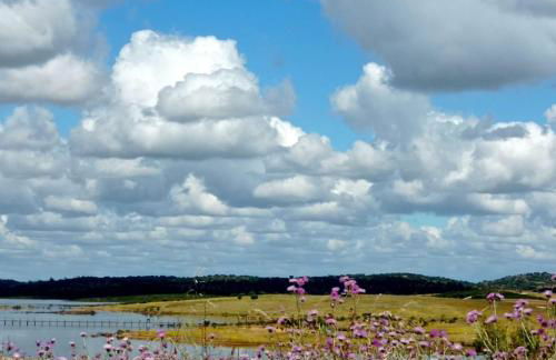 Casa da Vila - Foto 45