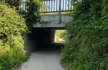 La petite maison zone coulée verte menant a l'océan - Photo 33
