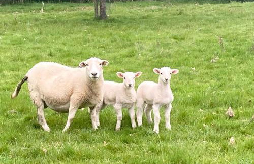 Blackrock Barn - Foto 20