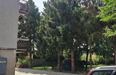 Oasi Verde - Foto 19