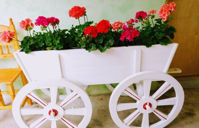 Nice Apartment Near The Center Ground Floor - Foto 14