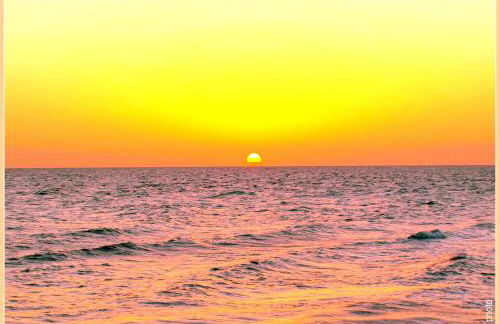 Villa Paquita - Delta de l'Ebre - Foto 38