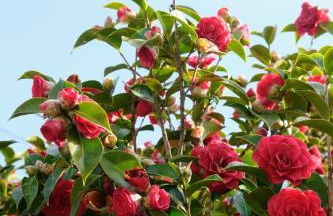 Le Nid Bohème - Foto 30