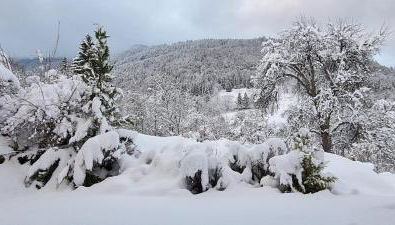 Appartement Borne - Photo 2