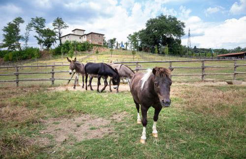 Palagina la cascina - Photo 70
