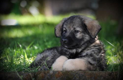 Agriturismo Borgovecchio - Foto 25