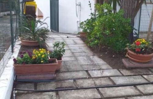 La Conchiglia - Foto 63